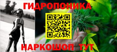 прущие крисы Нарткала
