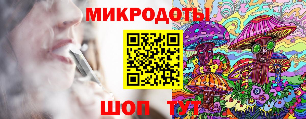 где найти   Вход с VPN  Сунжа  Псилоцибиновые грибы Cubensis 