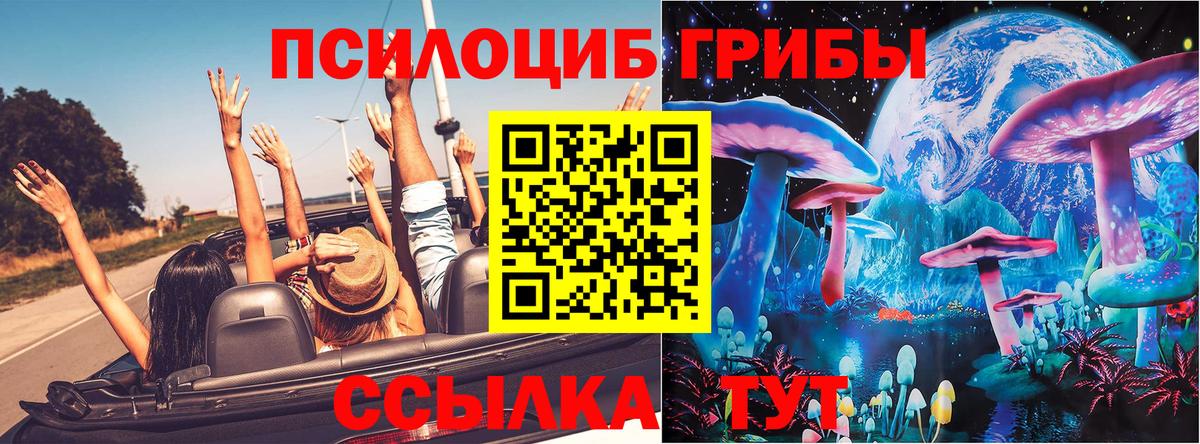 Псилоцибиновые грибы мицелий Сунжа