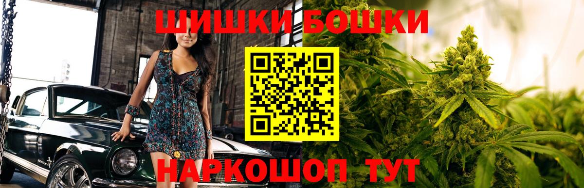 МАРИХУАНА сатива Сунжа
