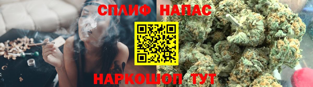 Сунжа  Бошки марихуана VHQ  Бошки Шишки гибрид  Конопля сатива  Вход с VPN 